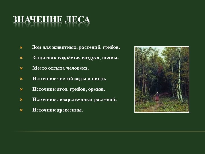  Дом для животных, растений, грибов. Защитник водоёмов, воздуха, почвы. Место отдыха человека. Источник