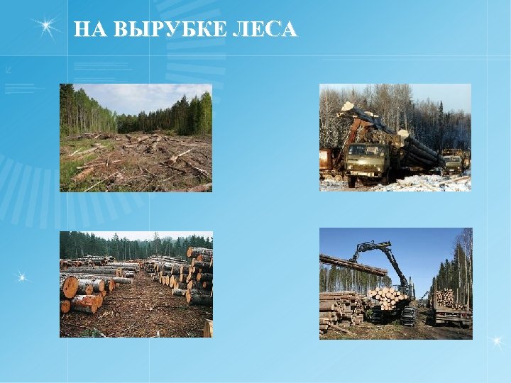 НА ВЫРУБКЕ ЛЕСА 