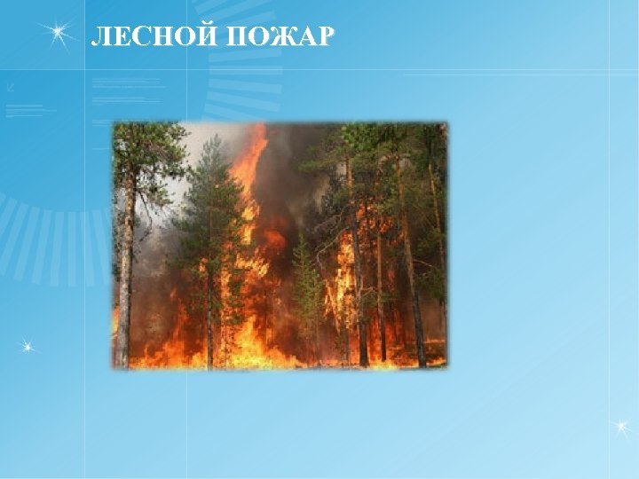 ЛЕСНОЙ ПОЖАР 