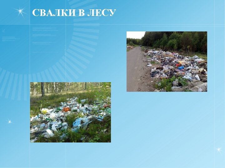 СВАЛКИ В ЛЕСУ 