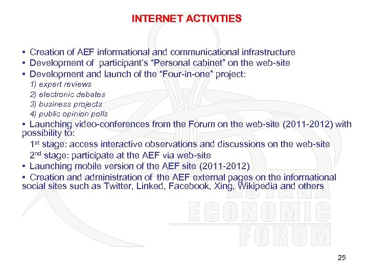 INTERNET ACTIVITIES • Creation of AEF informational and communicational infrastructure • Development of participant’s