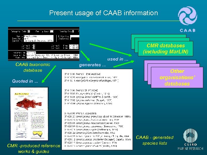 Present usage of CAAB information CMR databases (including Mar. LIN) used in. . .