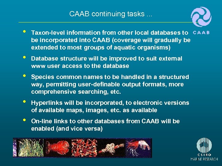 CAAB continuing tasks. . . • Taxon-level information from other local databases to be