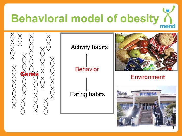 Behavioral model of obesity Activity habits Genes Behavior Environment Eating habits 3 