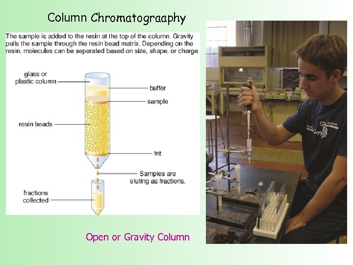 Column Chromatograaphy Open or Gravity Column 