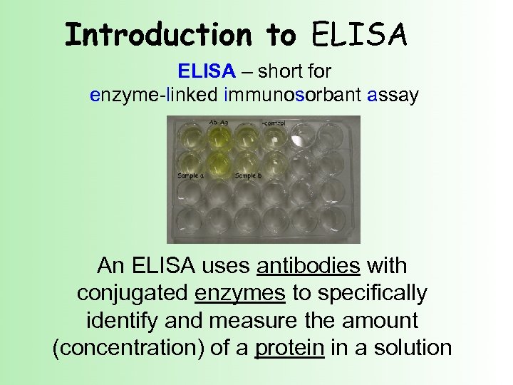 Introduction to ELISA – short for enzyme-linked immunosorbant assay An ELISA uses antibodies with