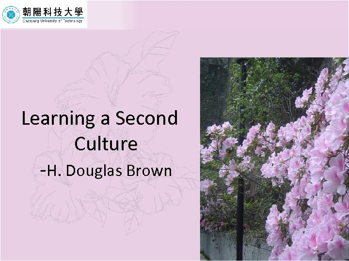 Learning a Second Culture -H. Douglas Brown 