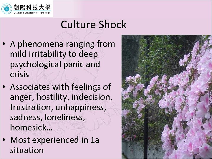 Culture Shock • A phenomena ranging from mild irritability to deep psychological panic and