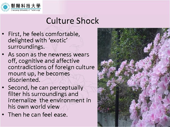 Culture Shock • First, he feels comfortable, delighted with ‘exotic’ surroundings. • As soon
