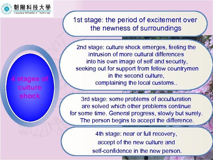 1 st stage: the period of excitement over the newness of surroundings 4 stages