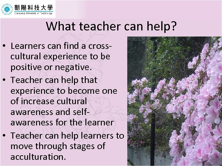 What teacher can help? • Learners can find a crosscultural experience to be positive