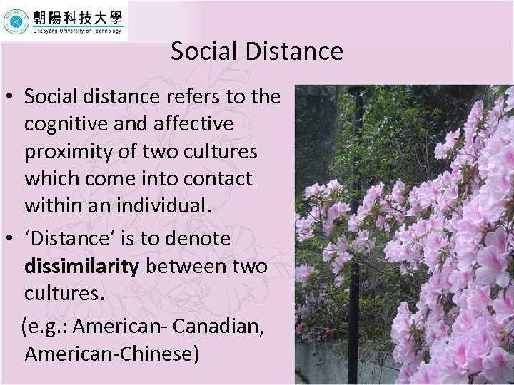 Social Distance • Social distance refers to the cognitive and affective proximity of two