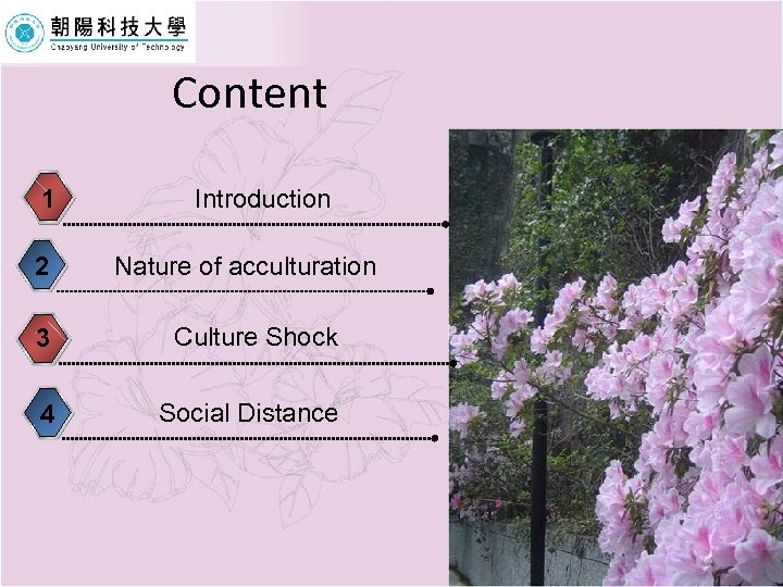 Content 1 2 Introduction Nature of acculturation 3 Culture Shock 4 Social Distance 