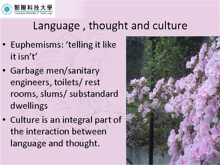 Language , thought and culture • Euphemisms: ‘telling it like it isn’t’ • Garbage