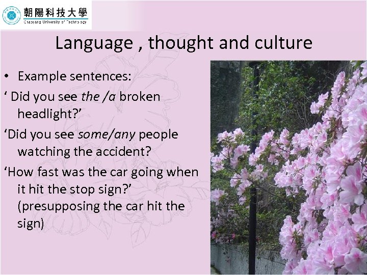 Language , thought and culture • Example sentences: ‘ Did you see the /a