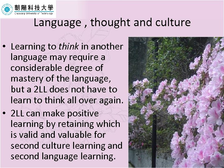 Language , thought and culture • Learning to think in another language may require