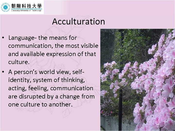 Acculturation • Language- the means for communication, the most visible and available expression of