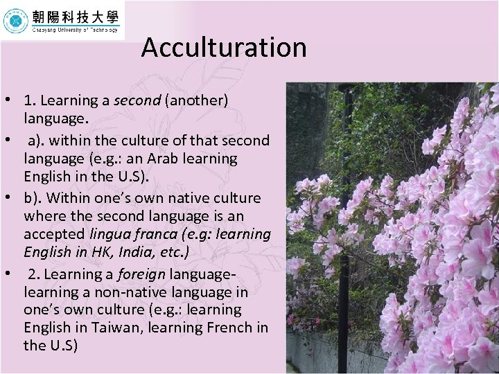Acculturation • 1. Learning a second (another) language. • a). within the culture of