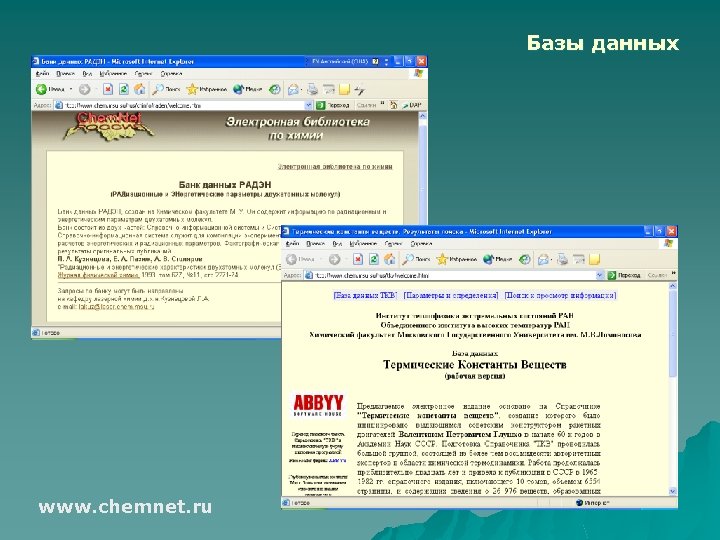 Базы данных www. chemnet. ru 