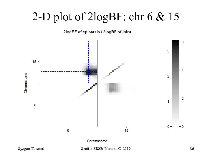 2 -D plot of 2 log. BF: chr 6 & 15 Sysgen Tutorial Seattle