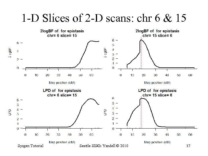 1 -D Slices of 2 -D scans: chr 6 & 15 Sysgen Tutorial Seattle