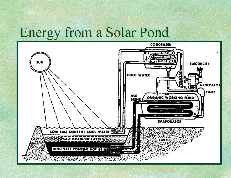 Energy from a Solar Pond 