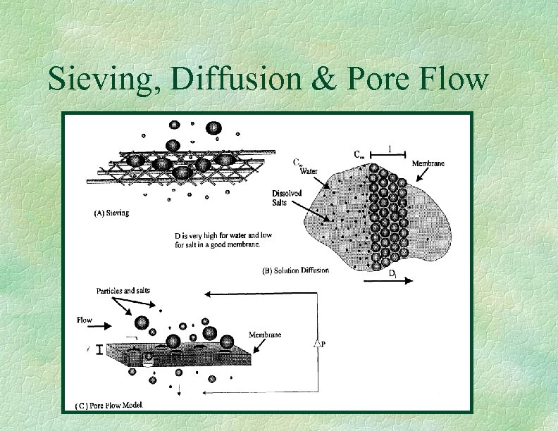Sieving, Diffusion & Pore Flow 