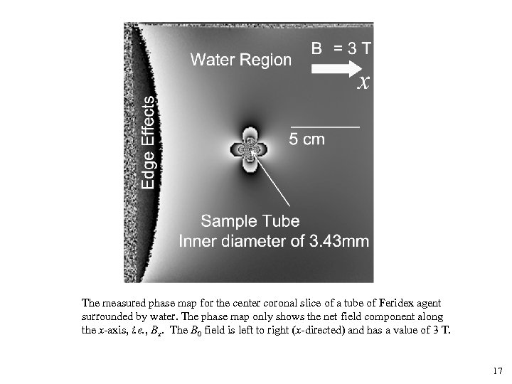 The measured phase map for the center coronal slice of a tube of Feridex