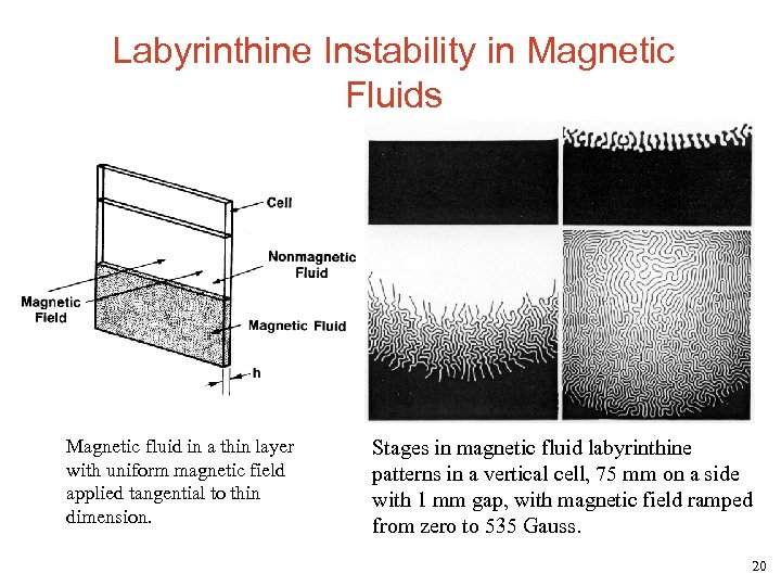 Labyrinthine Instability in Magnetic Fluids Magnetic fluid in a thin layer with uniform magnetic