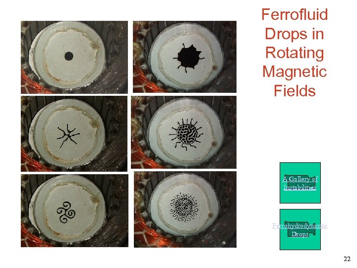 Ferrofluid Drops in Rotating Magnetic Fields A Gallery of Instabilities Ferrohydrodynamic Drops 22 