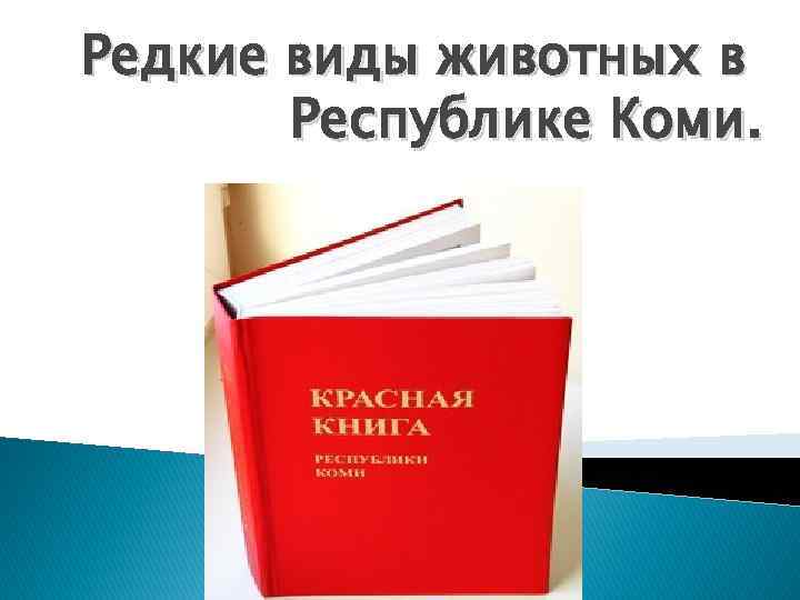 Редкие виды животных в Республике Коми. 