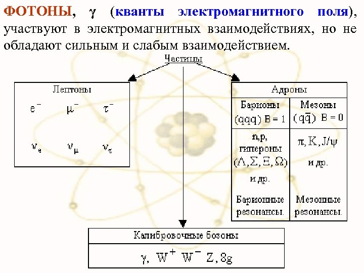 ФОТОНЫ, γ (кванты электромагнитного поля), участвуют в электромагнитных взаимодействиях, но не обладают сильным и