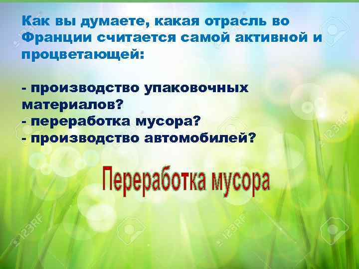 Как вы думаете, какая отрасль во Франции считается самой активной и процветающей: - производство