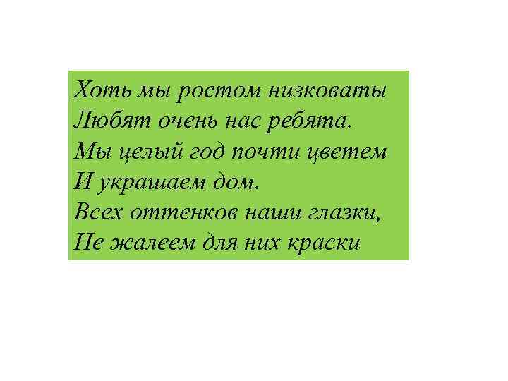 Хоть мы ростом низковаты Любят очень нас ребята. Мы целый год почти цветем И
