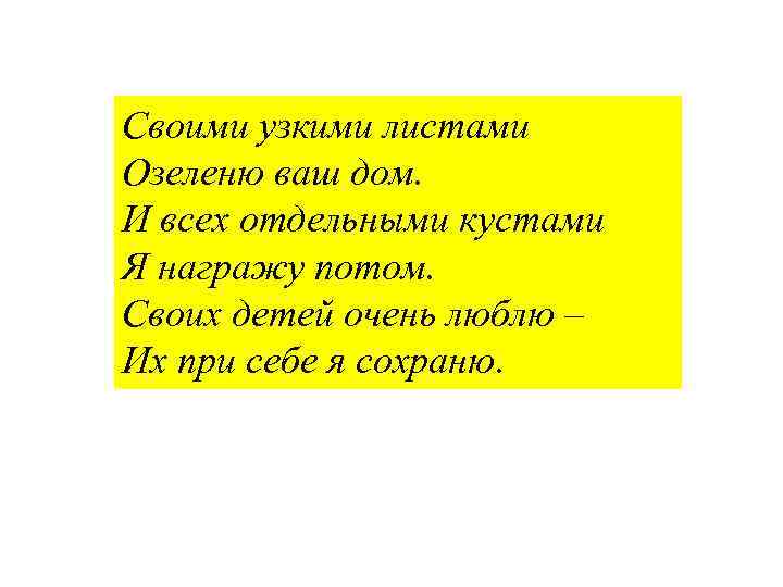 Своими узкими листами Озеленю ваш дом. И всех отдельными кустами Я награжу потом. Своих