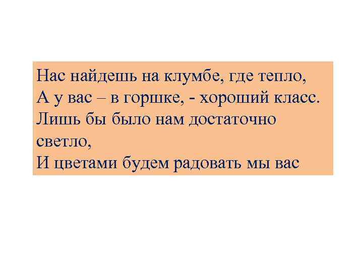 Нас найдешь на клумбе, где тепло, А у вас – в горшке, - хороший