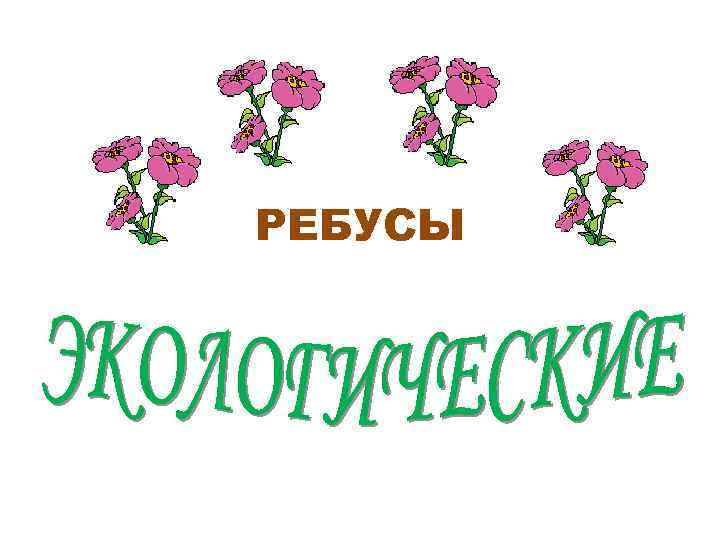 РЕБУСЫ 