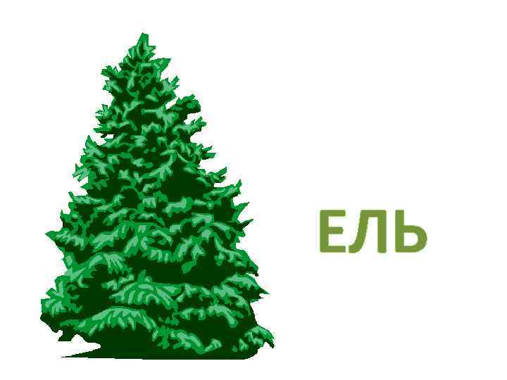 ЕЛЬ 