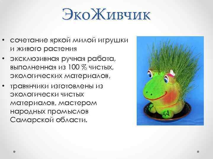 Эко. Живчик • сочетание яркой милой игрушки и живого растения • эксклюзивная ручная работа,