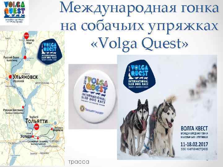 Международная гонка на собачьих упряжках «Volga Quest» трасса 