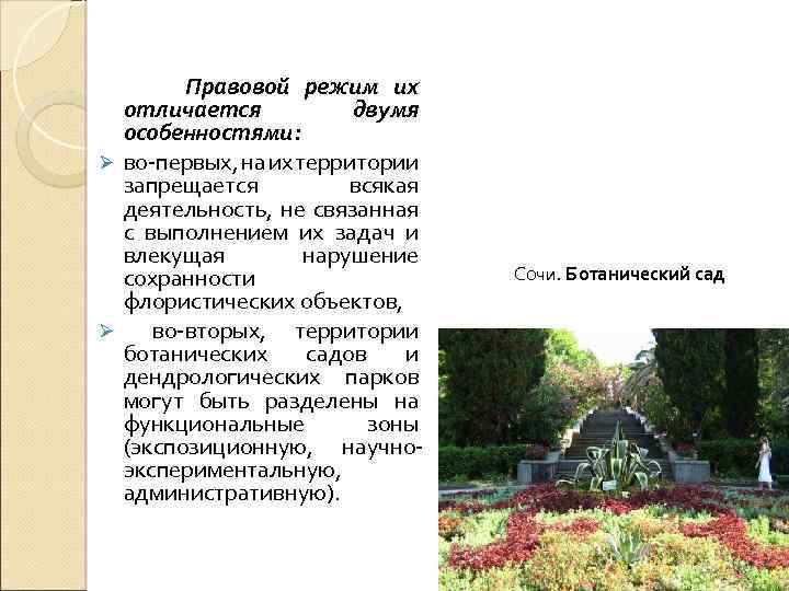 Правовой режим их отличается двумя особенностями: Ø во-первых, на их территории запрещается всякая деятельность,