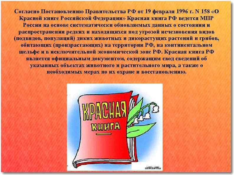 Согласно Постановлению Правительства РФ от 19 февраля 1996 г. N 158 «О Красной книге