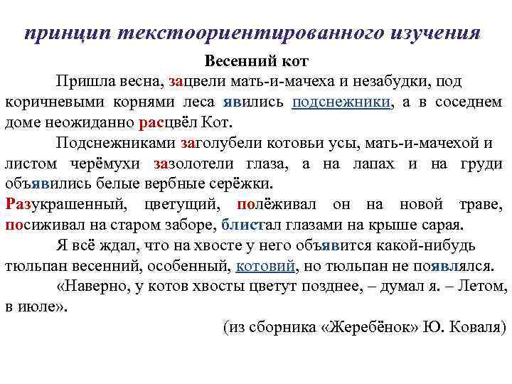 принцип текстоориентированного изучения Весенний кот Пришла весна, зацвели мать-и-мачеха и незабудки, под коричневыми корнями