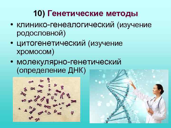 10) Генетические методы • клинико-генеалогический (изучение родословной) • цитогенетический (изучение хромосом) • молекулярно-генетический (определение