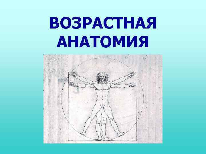 ВОЗРАСТНАЯ АНАТОМИЯ 