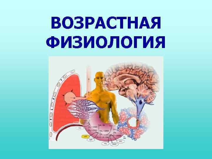 ВОЗРАСТНАЯ ФИЗИОЛОГИЯ 