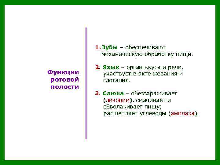 1. Зубы – обеспечивают механическую обработку пищи. Функции ротовой полости 2. Язык – орган