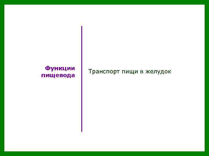 Функции пищевода Транспорт пищи в желудок пищу 