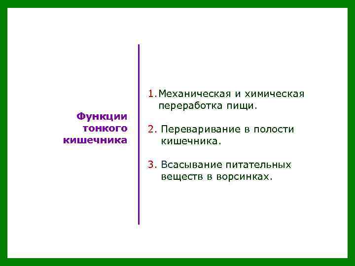 Функции тонкого кишечника 1. Механическая и химическая переработка пищи. 2. Переваривание в полости пищу