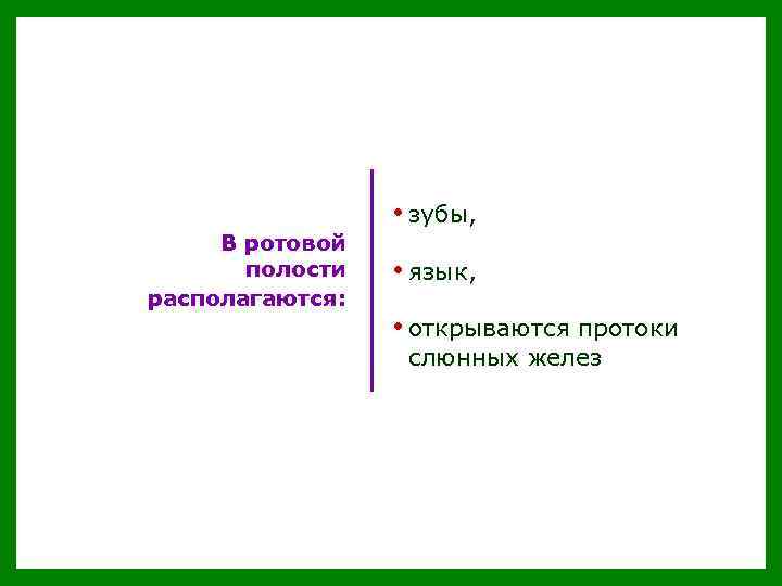  • зубы, В ротовой полости располагаются: • язык, • открываются протоки слюнных желез